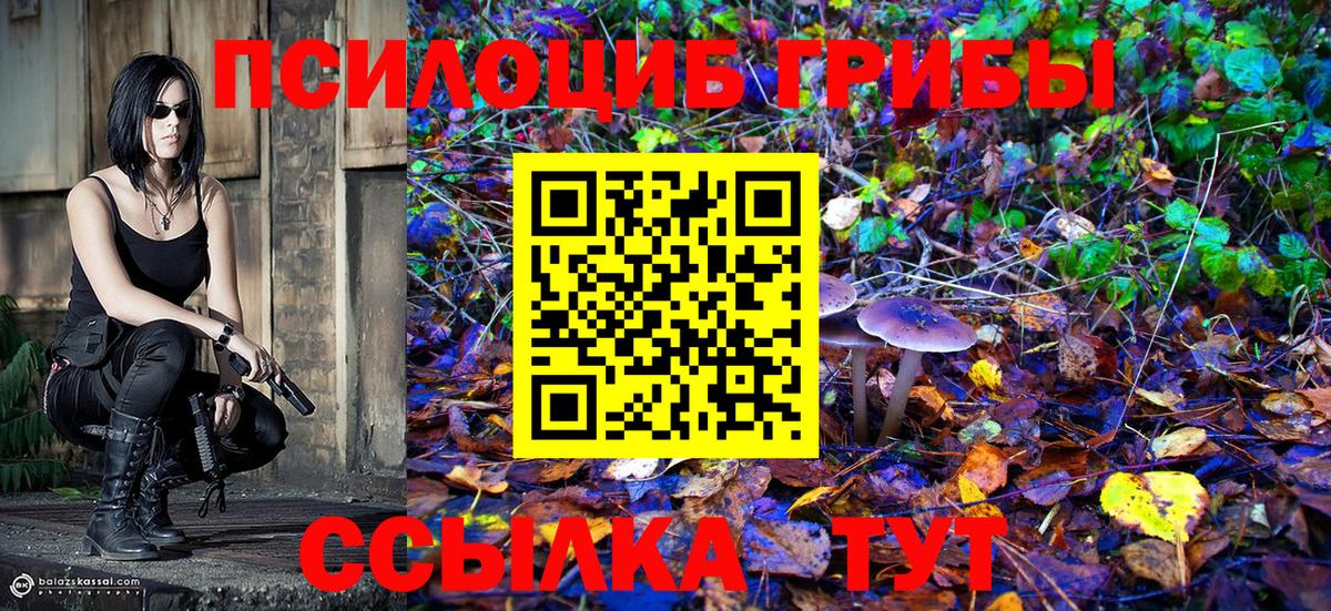 Галлюциногенные грибы MAGIC MUSHROOMS  Псилоцибиновые грибы GOLDEN TEACHER  Урус-Мартан  Вход с VPN 