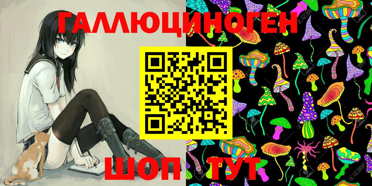 Псилоцибиновые грибы Psilocybe Урус-Мартан